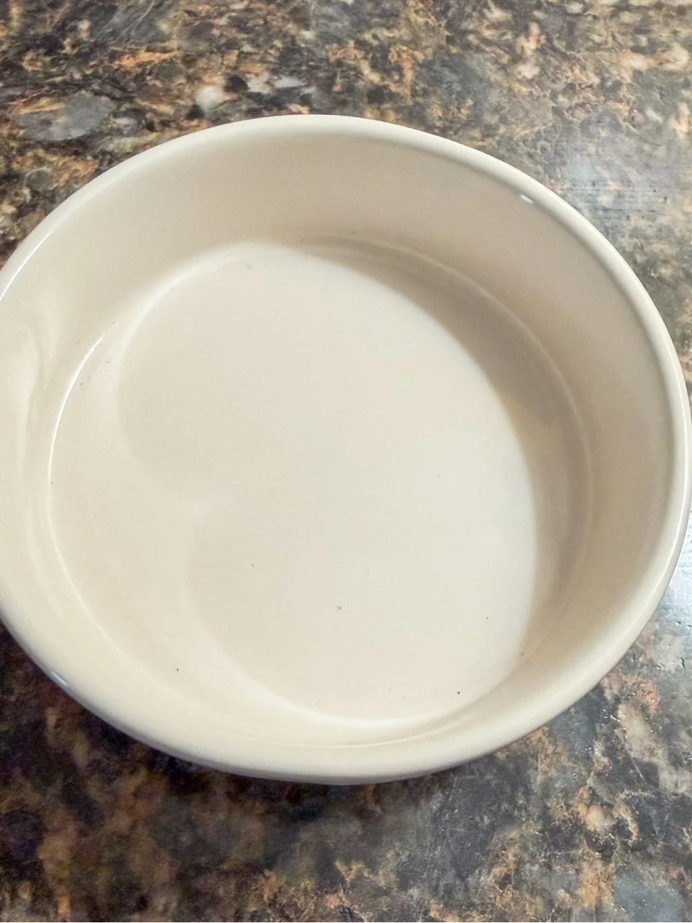 Rae Dunn “JINGLE CLAWS” Pet Bowl Christmas Dog Cat Dish Red Letter Holiday Decor